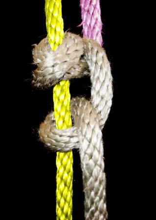 Tautline Hitch Step 3